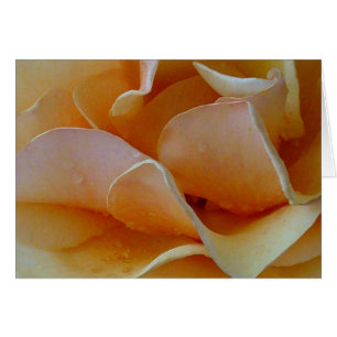 Cartão Coração de um rosa