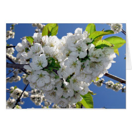 Cartão Coração florescente de cereja