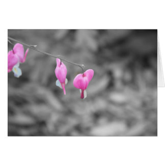 Cartão Corações de sangramento Door County