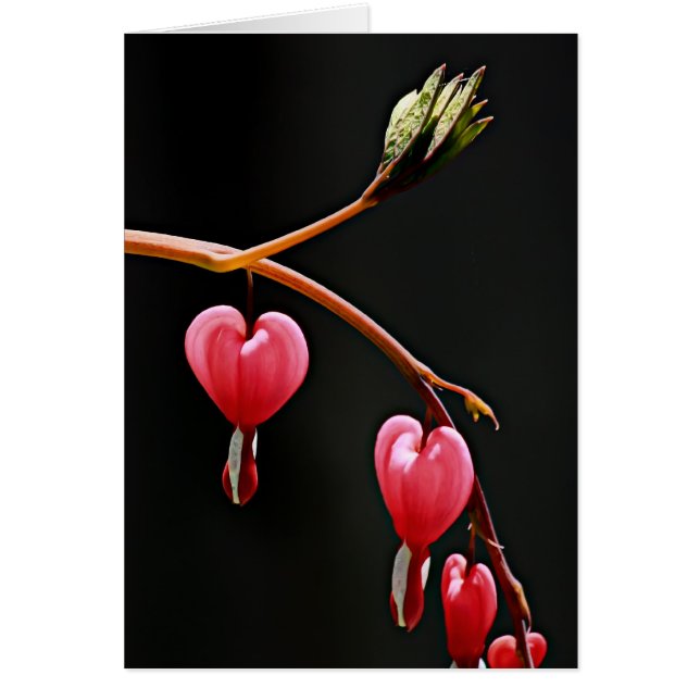 Cartão Corações em uma curva (Frente)