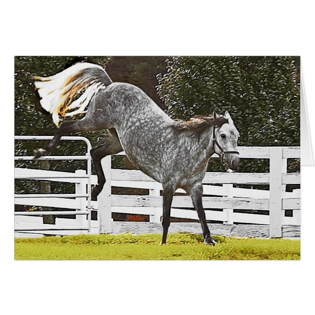 Cartão Corações para Cima (Frente Horizontal)