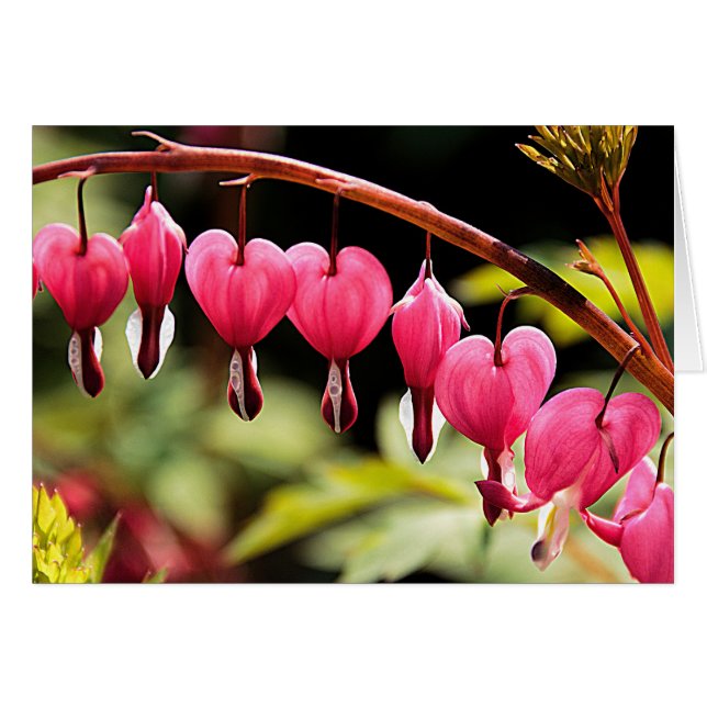 Cartão Corações por aí (Frente Horizontal)