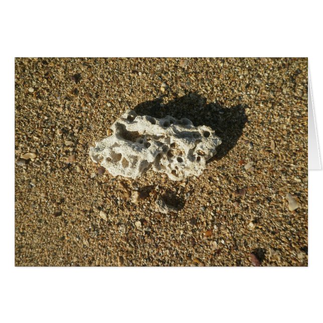 Cartão Coral na areia (Frente Horizontal)