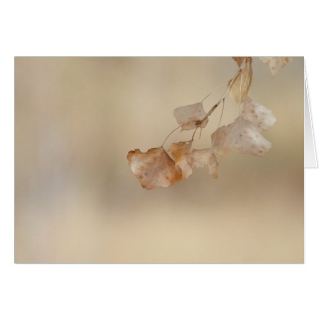 Cartão cordas de folhas de ouro (Frente Horizontal)