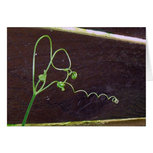 Cartão Cordas do coração da natureza (Frente horizontal)