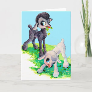 Cartão cordeiro branco preto