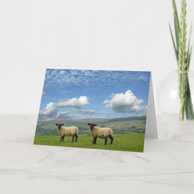 Cartão Cordeiros (Frente)