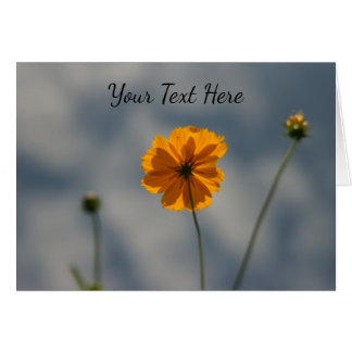 Cartão Coreopse Amarela