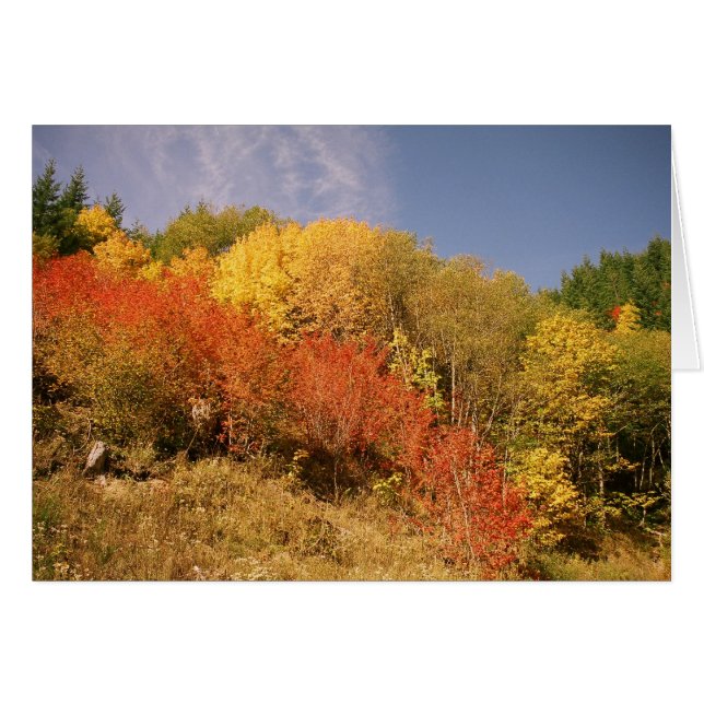 Cartão Cores da queda na capa do Mt. (Frente horizontal)