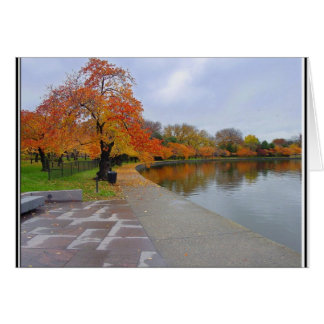 Cartão Cores de queda da Piscina