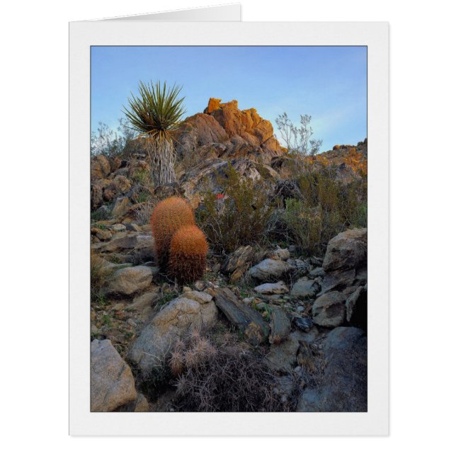 Cartão "Cores de Ridge Route" (Frente)