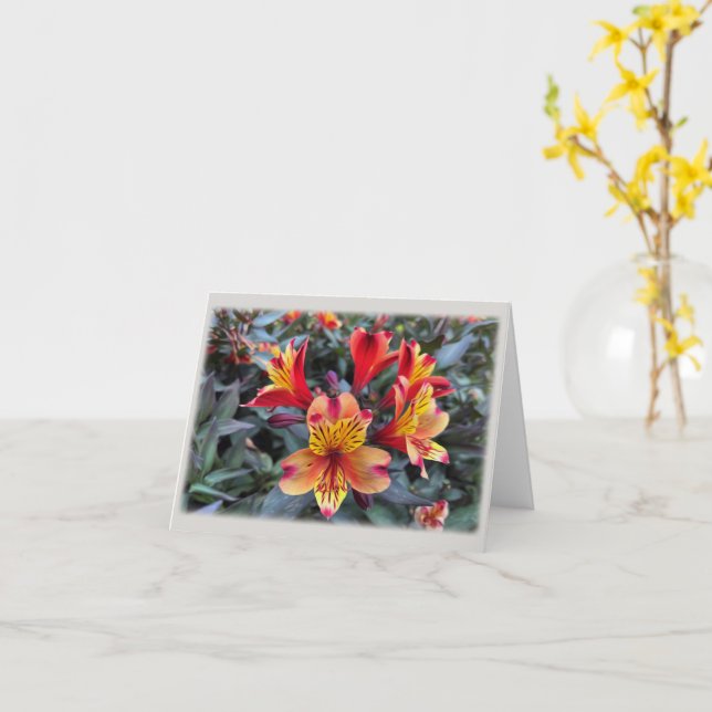 Cartão Cores do verão (Flor Amarela)