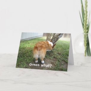Cartão Corgi Engraçado