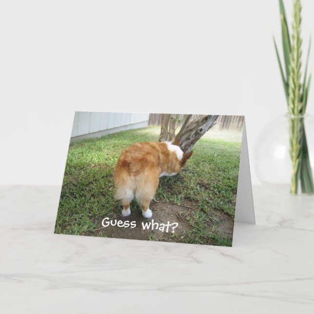 Cartão Corgi Engraçado (Frente)