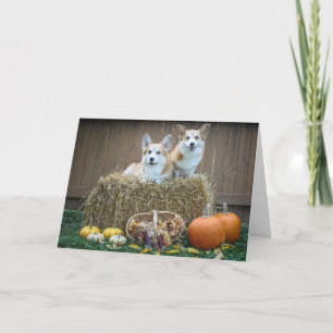 Cartão Corgi Fall blank card