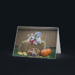 Cartão Corgi Farmer and wife blank card<br><div class="desc">This corgi farmer and his wife card is blank. It can be used for many occasions like birthday,  anniversary,  get well,  thank you,  thinking of you,  encouragement etc.</div>