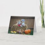 Cartão Corgi Farmer and wife blank card<br><div class="desc">This corgi farmer and his wife card is blank. It can be used for many occasions like birthday,  anniversary,  get well,  thank you,  thinking of you,  encouragement etc.</div>