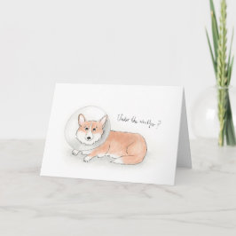 Cartão Corgi get well soon card