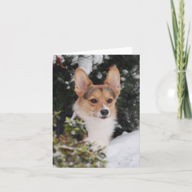 Cartão Corgi na neve (Frente)