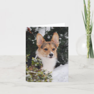 Cartão Corgi na neve
