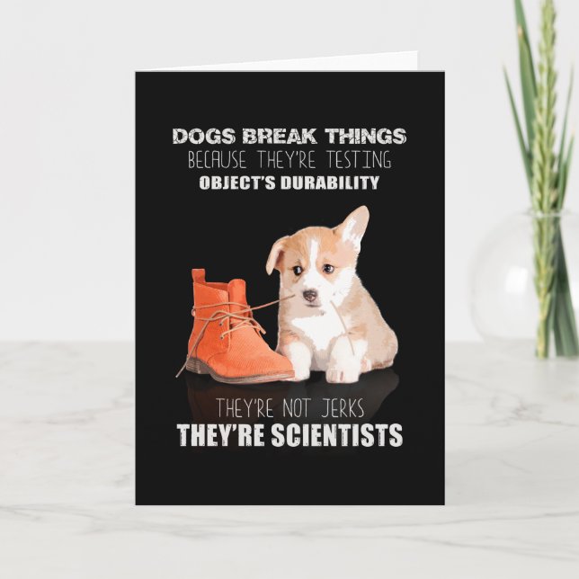 Cartão Corgi Puppy Dog Eles não são idiotas Eles são cien (Frente)