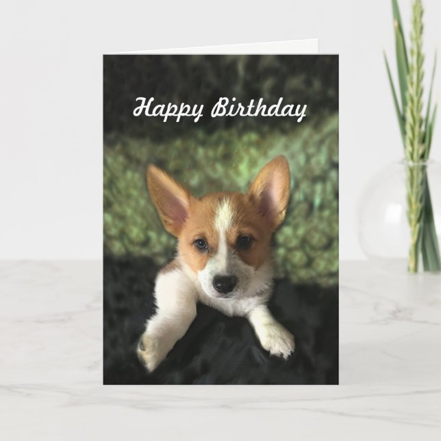 Cartão Corgi Puppy Happy Birthday (Frente)