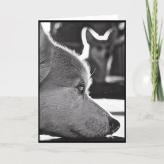 Cartão Corgi que falta o