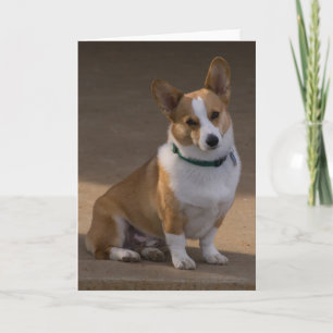 Cartão Corgi - Retrato