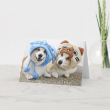 Corgis in Hats Folded Greeting Card