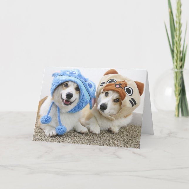 Cartão Corgis in Hats Folded Greeting Card (Frente)
