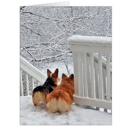 Cartão Corgis na neve