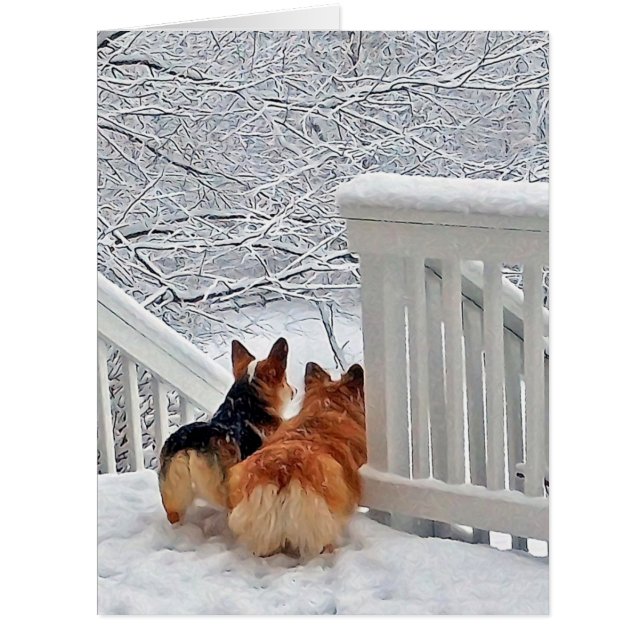 Cartão Corgis na neve (Frente)
