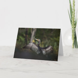 Cartão Cormorant Nature Photo