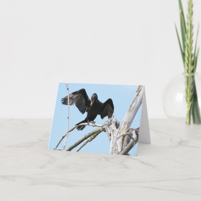 Cartão Cormorant usando as asas para equilibrar (Frente)