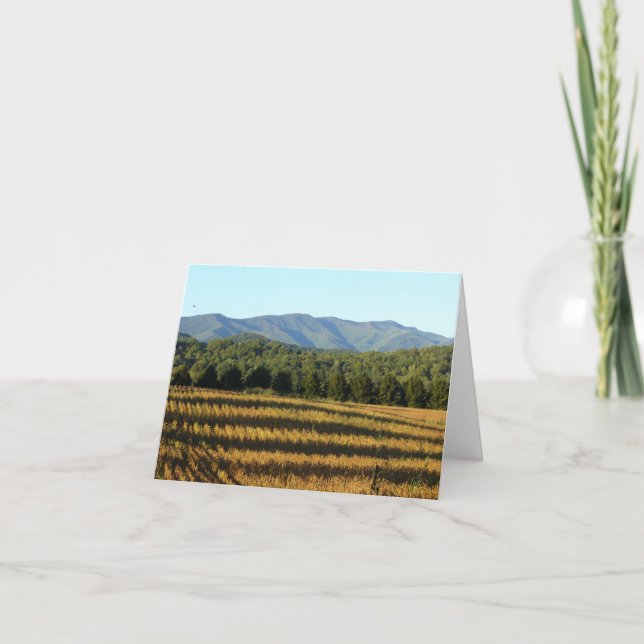 Cartão Cornfield (Frente)