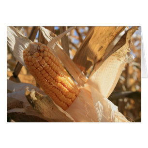 Cartão Corno de Campo no Palco