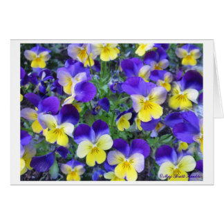 Cartão Cornuta da viola