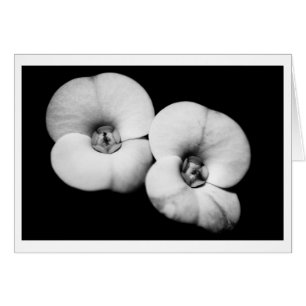 Cartão coroa de espinhos