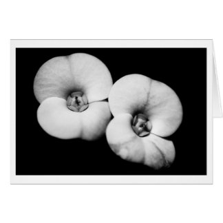 Cartão coroa de espinhos