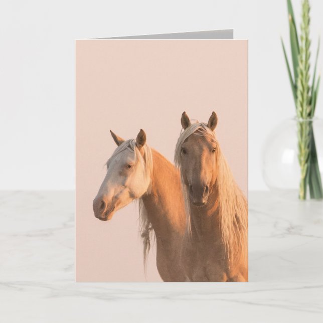 Cartão Corona & Cheyenne no Dawn Wild Horse Greeting Card (Frente)