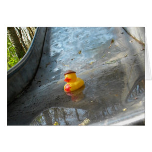 Cartão Corrediça Ducky