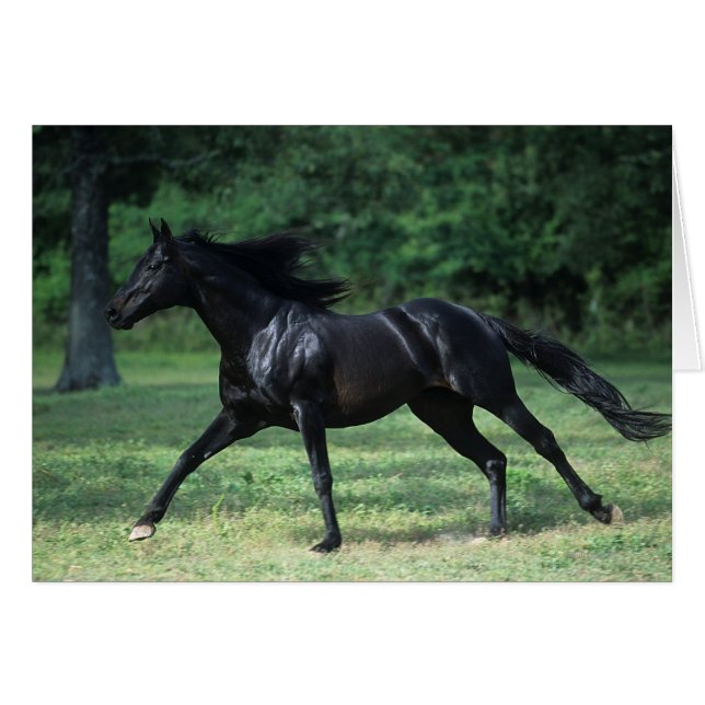 Cartão Corredindo puro (Frente Horizontal)