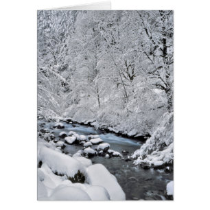 Cartão Córrego branco nevado cênico, Oregon