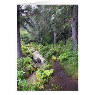 Cartão Córrego do Alasca