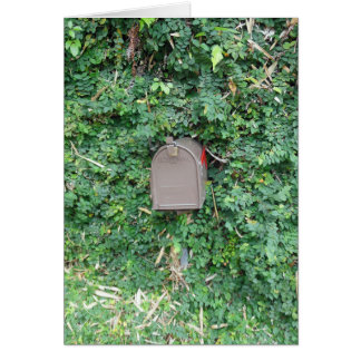 Cartão Correio no paraíso