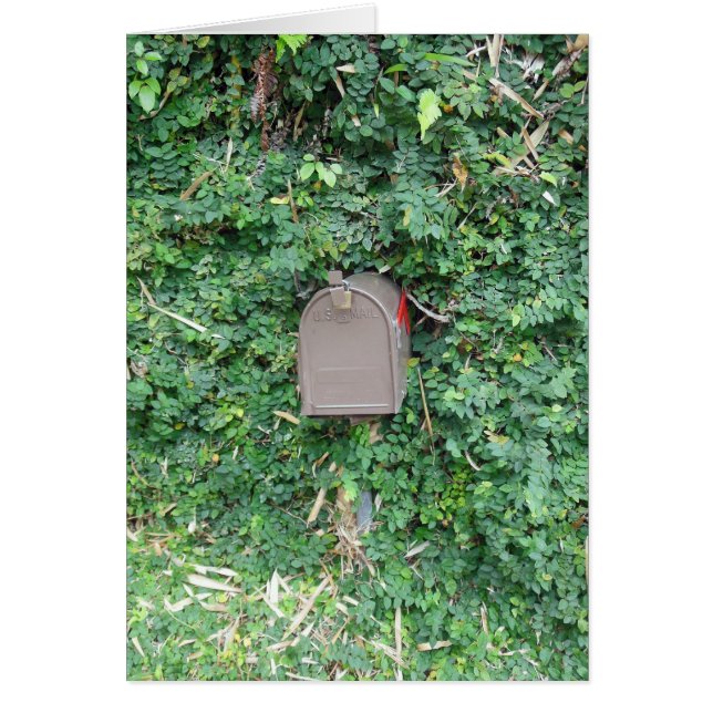 Cartão Correio no paraíso (Frente)