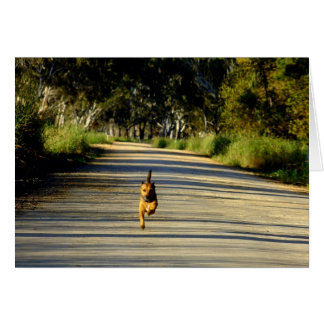 Cartão Correndo para você!