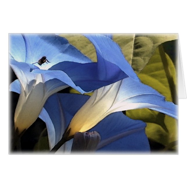 Cartão Corriolas (Frente Horizontal)