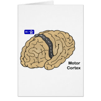 Cartão Cortex motor