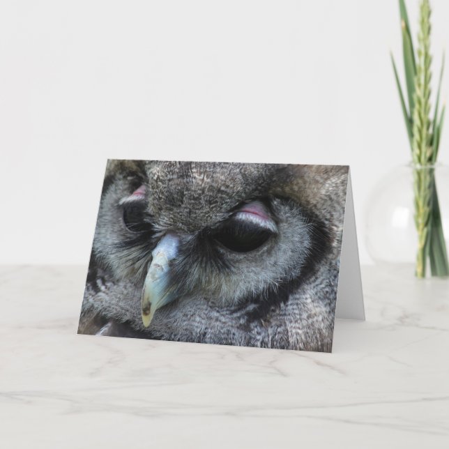 Cartão Coruja (Frente)